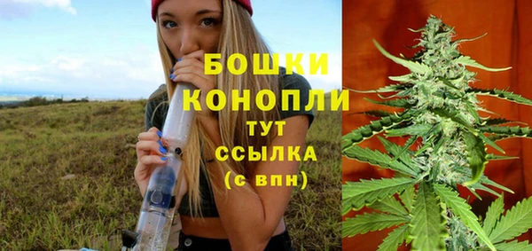 сатива Михайловка